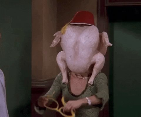 Season 5 Thanksgiving GIF by Friends