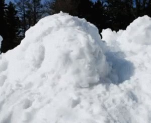 How do you feel about Chicago’s first real snow of the season possibly arriving tomorrow?