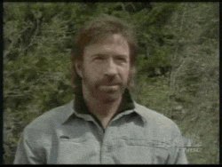 chuck norris GIF