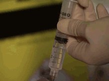 Mulheres Apaixonadas Manoel Carlos GIF