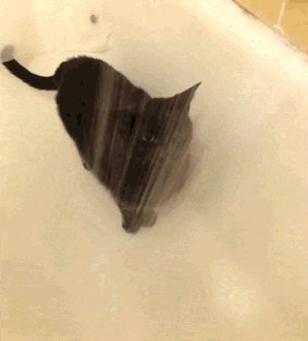 If you like soap 🧼 and water 🚿 join me at https://t.co/tvhYHVFQDp for FREE and enjoy https://t.co/ZI