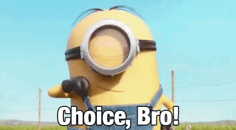 Choice Bro GIF