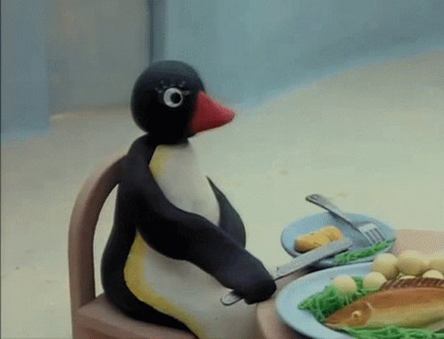 Pingu No GIF