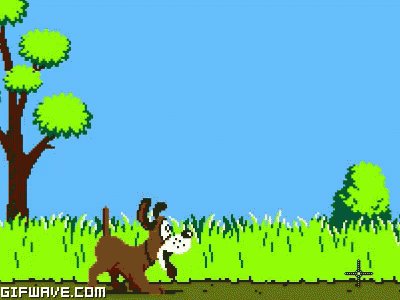 Duck Hunt GIF