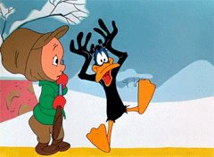 daffy duck GIF