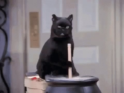 Black Cat GIF