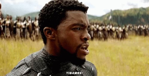 Black Black Panther GIF