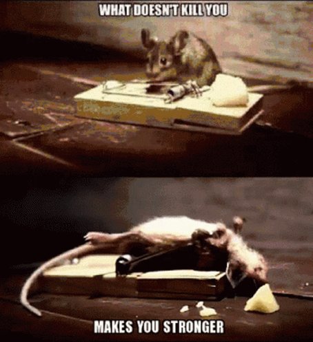 Mouse What Doesnt Kill You ...