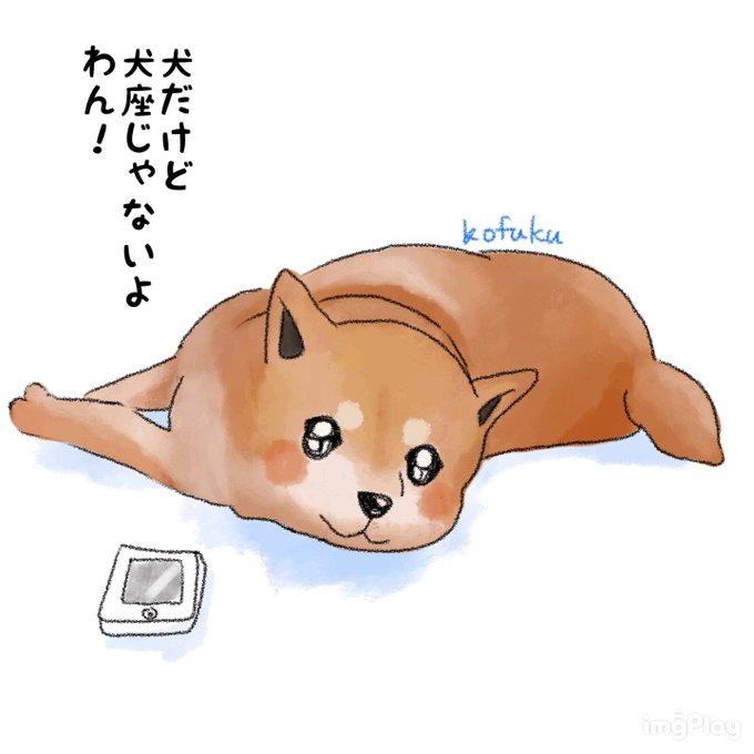 小福わんこみくじのtwitterイラスト検索結果
