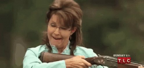 Sarah Palin GIF