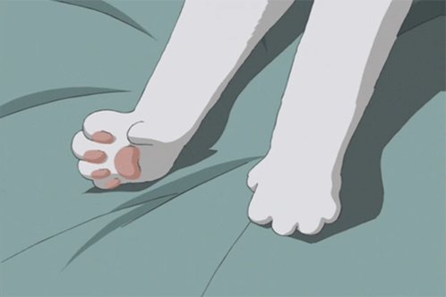 someone tip me so i can get kitty paw socks 🐾https://t.co/VFqfjVRda1 https://t.co/mCTBkWgyu3<a href="/tag/mvsales"class="tags"><span>#mvsales</span></a>