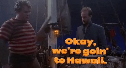 Cabin Boy Hawaii GIF by MOO...