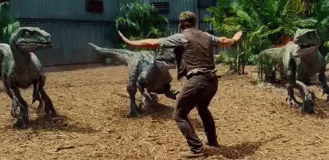 Chris Pratt Jurassic Park Jurassicpark GIF