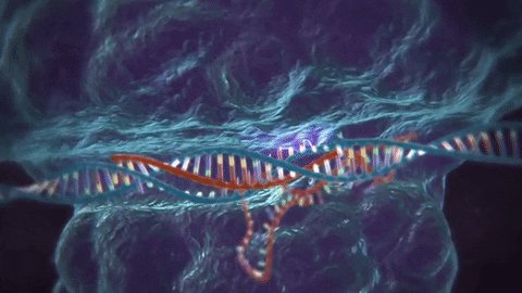 genetics GIF by MIT 
