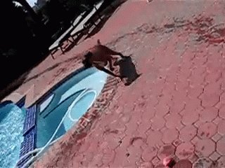 Summer's Not Over! GIF