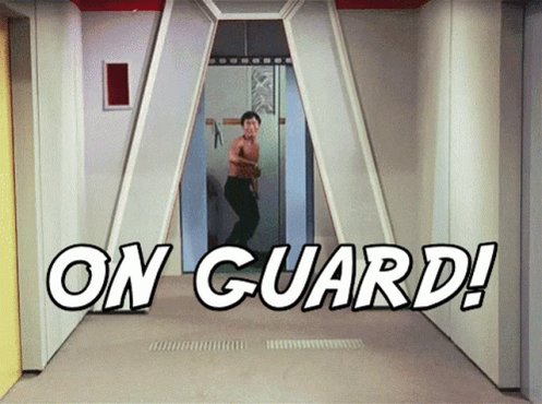 On Guard Fencing GIF