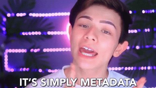 Its Simply Metada Merely Metadata GIF