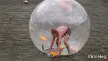 Inflatable Human Hamster Ball Funny GIF