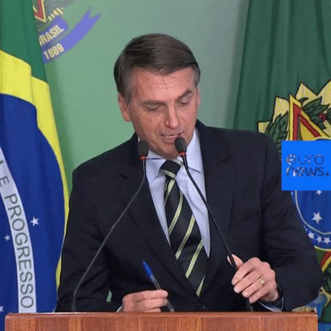 jair bolsonaro brazil GIF b...