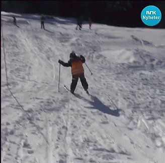 Ski Fail Skiing GIF