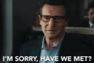 Have We Met The Commuter GIF