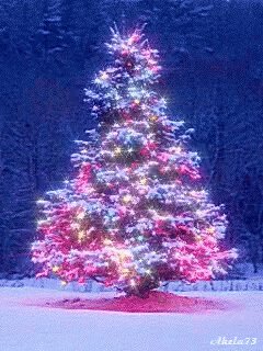 Christmas Christmas Tree GIF