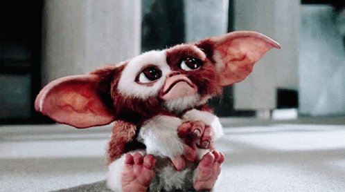 VuduFans on X: 🎁 We're just a day away from the Gremlins  #VuduViewingParty! Quote tweet this post with the snack you'd eat after  midnight if you were a mischievous mogwai for a