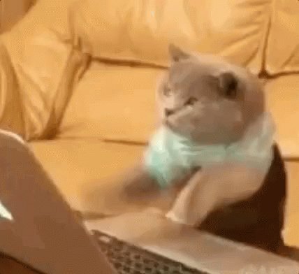 Gatinho Digitando No Laptop / Compartilhar Galera / Comparti