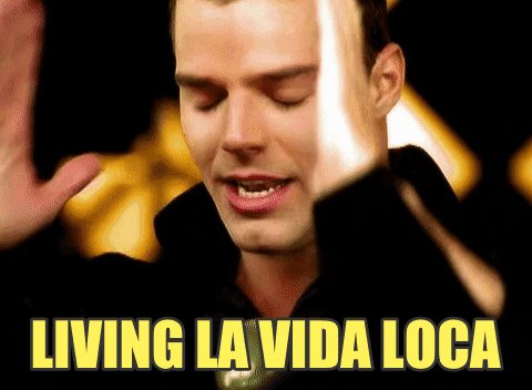 Ricky Martin - Livin\ La Vida Loca
happy  birthday   