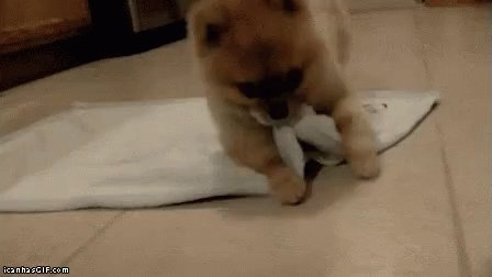 Blankie GIF