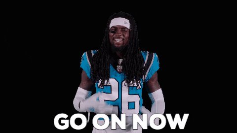 Shoo Away National Football League GIF by Carolina Panthers