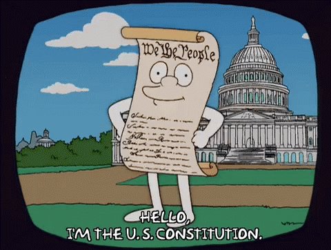 Constitution Day We The People GIF