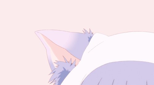 8 SPOTS LEFT 🐾 https://t.co/oZWvm5m14T https://t.co/sZEsw3X8Ft<a href="/tag/mvsales"class="tags"><span>#mvsales</span></a>