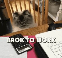 Back To Work Get Back To Wo...