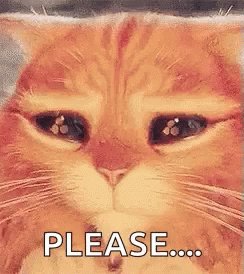 Puss In Boots Cat GIF