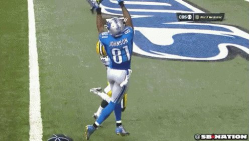 Lions Football GIF