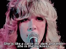 Stevie Nicks She Is Like ACat In The Dark GIF