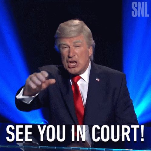 See You In Court Donald Tru...