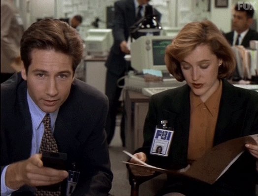 david duchovny what GIF by The X-Files