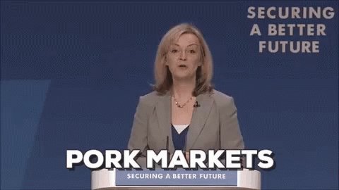 Liz Truss GIF