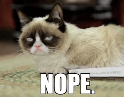 grumpy cat no GIF by Intern...