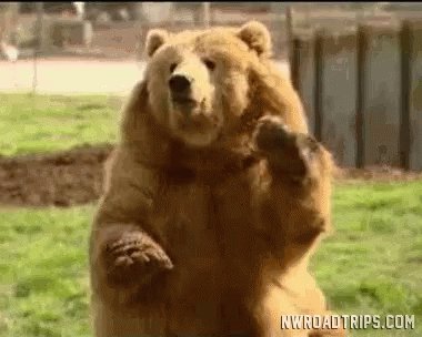 Bear Bye Bear GIF