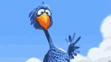 Hello Birds GIF
