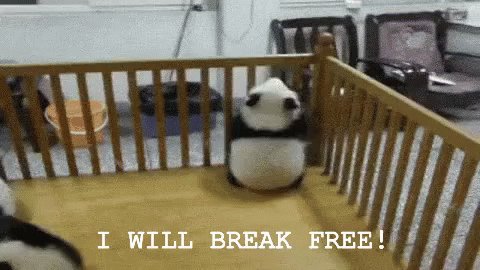 Baby Panda Will Break Free!...