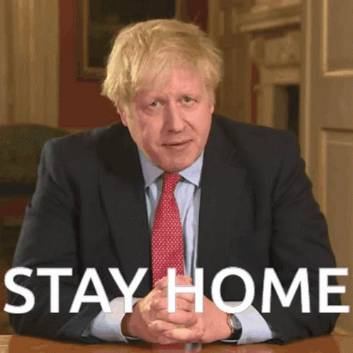 Stay Home Boris GIF