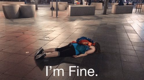 Im Fine Its Fine GIF