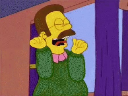 Ned Flanders The Simpsons GIF