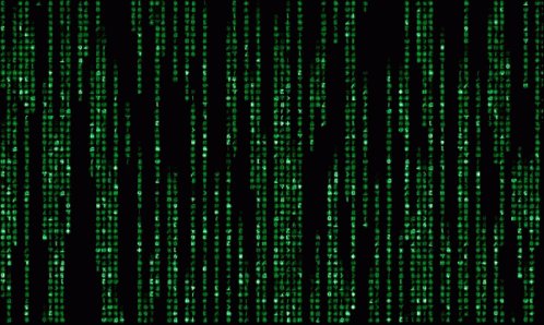 Matrix Code GIF