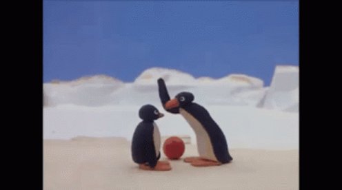 Pingu Head GIF