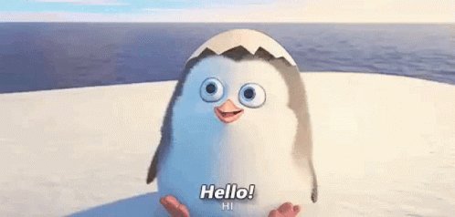 Hello Penguin GIF